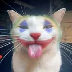 Akerio