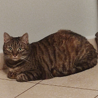 Battery